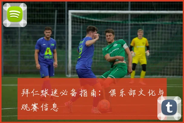 拜仁球迷必备指南：俱乐部文化与观赛信息
